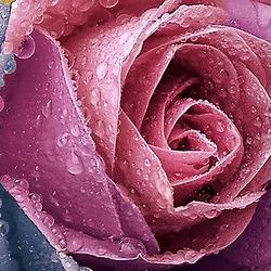 2024년 12월 27일 첫번째 글쓰기